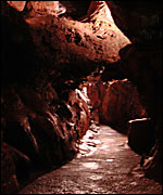 The Bridge at Kents Cavern