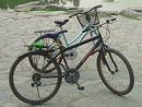 bikes