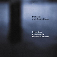 Review of The Source and Different Cikadas