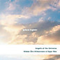 Review of Angels of the Universe