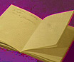 Diary