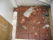 Filthy floor at Peking Boat, Sidcup, 2007