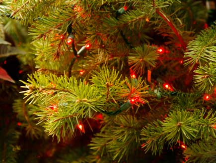 decorated Christmas tree