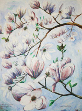 16th Street Magnolias