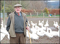 Michael Coleman with his flock of geese 