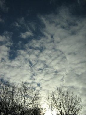 Quiet Sky