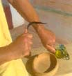 A strigil