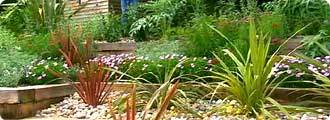 Plants for a hot spot garden