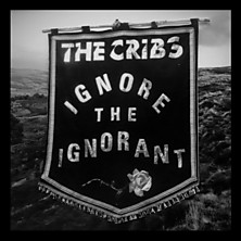 Review of Ignore the Ignorant