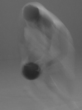 Abstract basketball