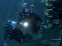Tooni, Lucy and reefs
