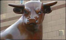 Bull