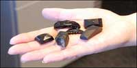 Pieces of Whitby jet found by Susan