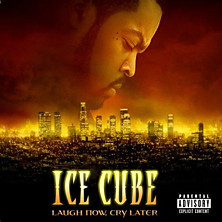 Review of Laugh Now, Cry Later