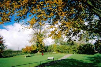 Photo of a park