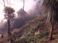 Trelissick Garden
