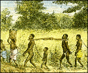 Illustration of slaves in yokes