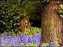 Saltwells Nature Reserve