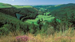 Nant Yr Arian