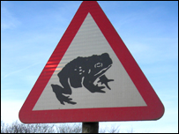 Toad crossing sign