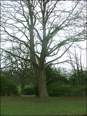 Allestree Park