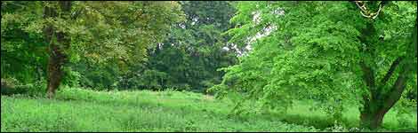 The Castle Gardens site