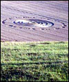 Crop circle