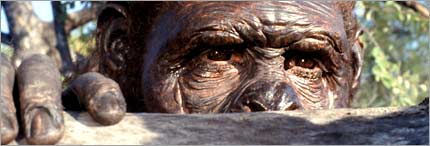 Australopithecus afarensis from the series Walking with Cavemen