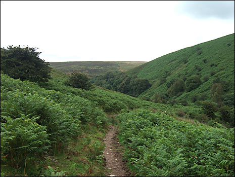 Rolling hills