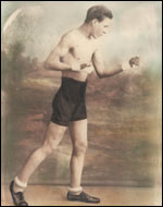 Boxer by Lucy Moore