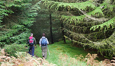 Derek and Kerry walking into conifer forests