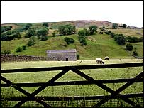 Yorkshire Dales