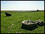 Harford Moor