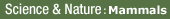 Visit  BBC Science & Nature's  Mammals section