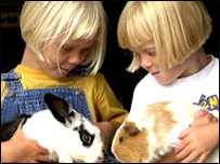 Children stroking rabbits