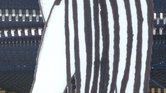 Zipper Flapper... Zipper Flapper...