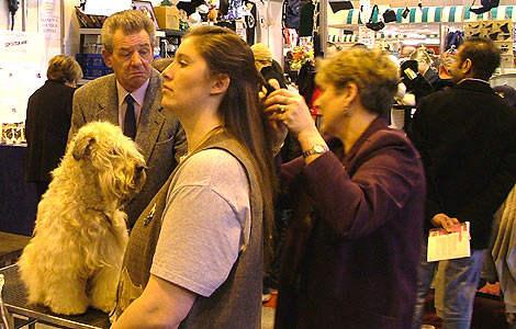 Crufts, Birmingham. Thursday 10/3/05.