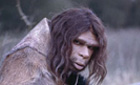 Neanderthal