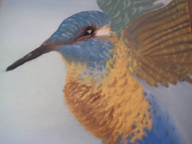Kingfisher