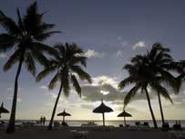 Tropical beach