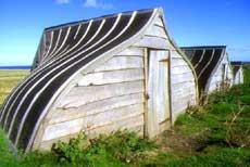 Holy Island
