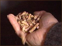Pelleted wood fuel