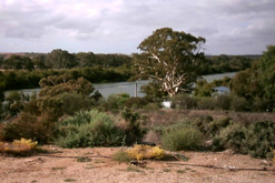 Perth