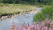 The River Ystwyth