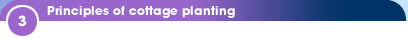 3 - Principles of cottage planting