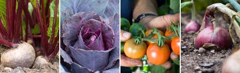 Vegetables