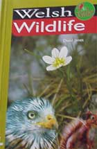 Welsh Wildlife