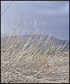 end of winter