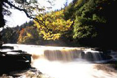 The Falls of Clyde