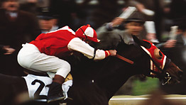 Seabiscuit